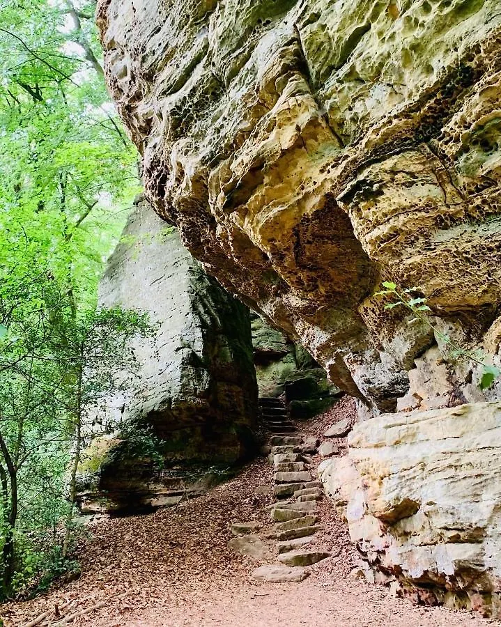 게스트하우스 Tailor'S Trail Gite D'Adventure Beaufort Mullerthal