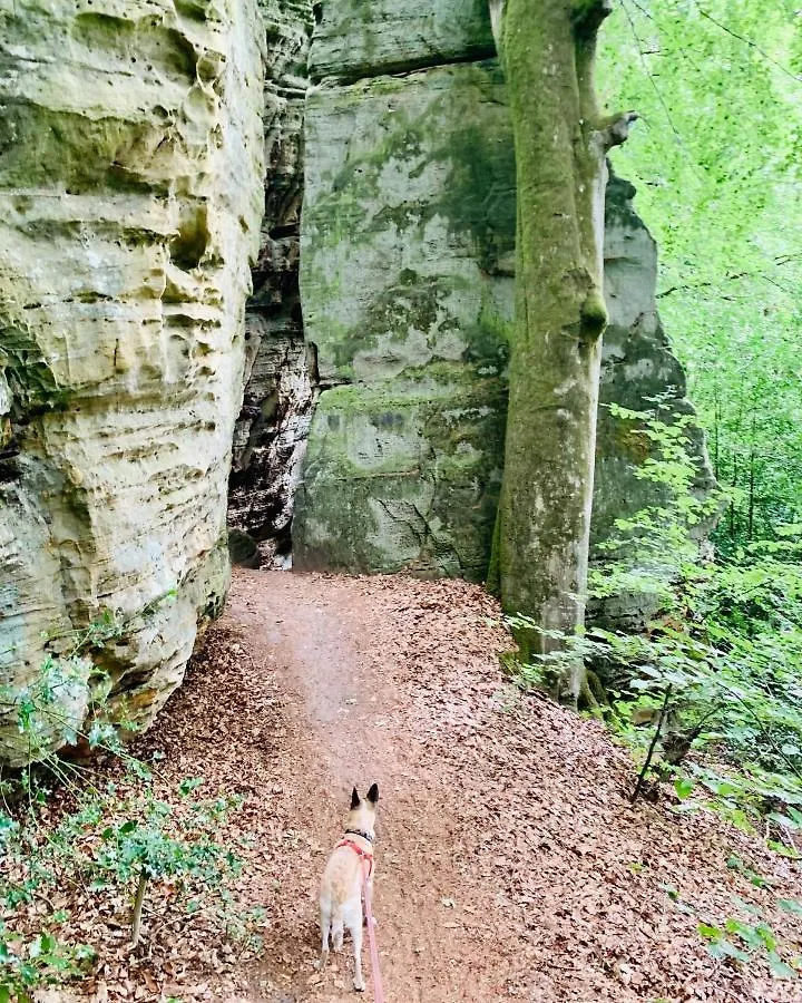 Tailor'S Trail Gite D'Adventure Beaufort Mullerthal